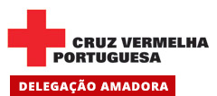 logo footer